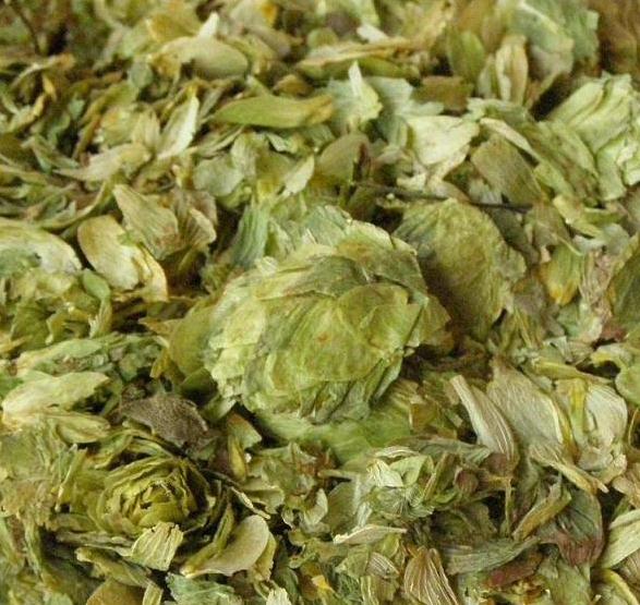 Humulus lupulus Dry flowers Hops